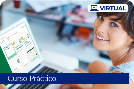 Excel Intermedio- Virtual