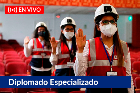 DIPLOMADO ESPECIALIZADO LEGISLACIÓN LABORAL Y FISCALIZACIÓN LABORAL - VIRTUAL 2024