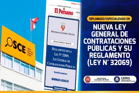 Diplomado Nueva Ley General de Contrataciones Públicas y su Reglamento (Ley N° 32069)- GRABADO 2025