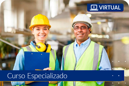 Seguridad y Salud en el Trabajo  - Virtual